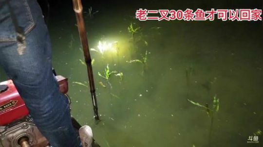 水库晚上可以弄巨货？？ 2020-03-21 23点场