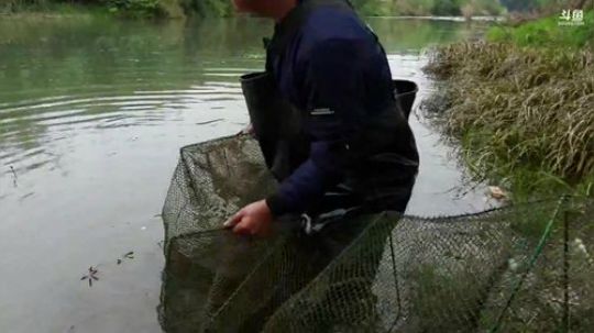 收河道地笼 2020-03-22 13点场