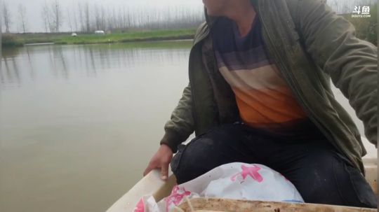 天天开心 337852 2020-03-21 14点场