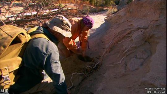 静思世语发布了一个斗鱼视频2020-03-23