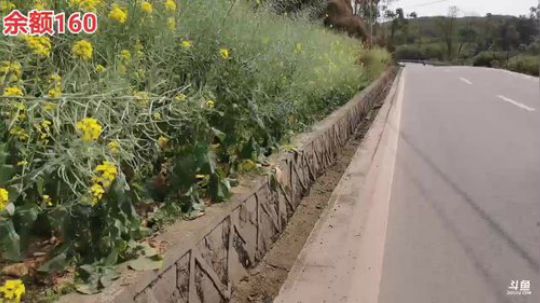 哆啦爱梦梦发布了一个斗鱼视频2020-03-23