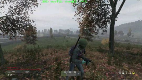 dayz(灾变后第五年） 2020-03-23 23点场