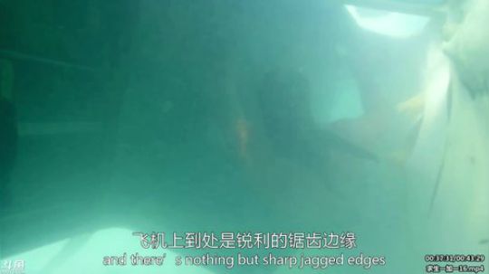 护法惊丶发布了一个斗鱼视频2020-03-24