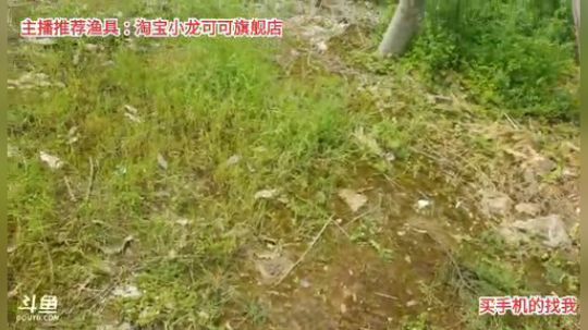 十一郎君01发布了一个斗鱼视频2020-03-25