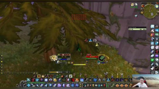 魔兽世界怀旧服：绿龙世界BOSS的小弟居然这么弱，而且超级穷