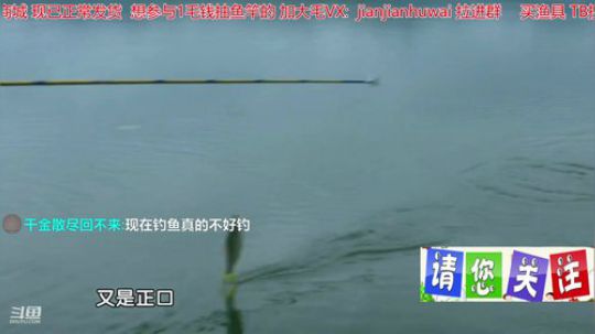 我在斗鱼看贱贱钓鱼直播乡野