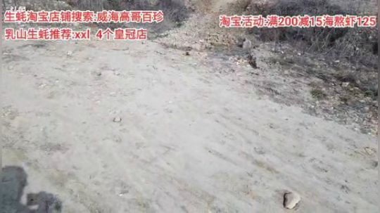 西北老狼哥哥发布了一个斗鱼视频2020-03-25