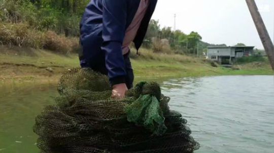 水库收地笼 468241 468241 2020-03-26 12点场