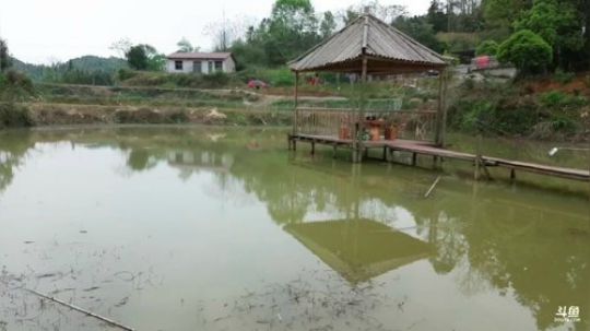 水库收地笼 468241 2020-03-26 15点场