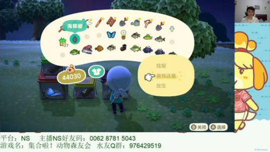 NS颜值主播 夜月的动森时间 2020-03-23 01点场