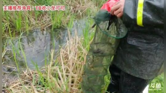 静思世语发布了一个斗鱼视频2020-03-27