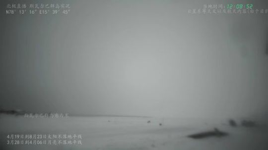 根本阿呆发布了一个斗鱼视频2020-03-27