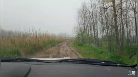 天天开心 337852 2020-03-22 12点场