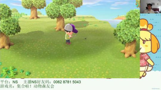 NS颜值主播 夜月的动森时间 2020-03-20 15点场