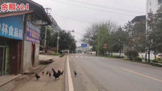 哆啦爱梦梦发布了一个斗鱼视频2020-03-27