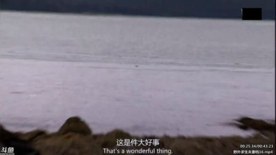 静思世语发布了一个斗鱼视频2020-03-27