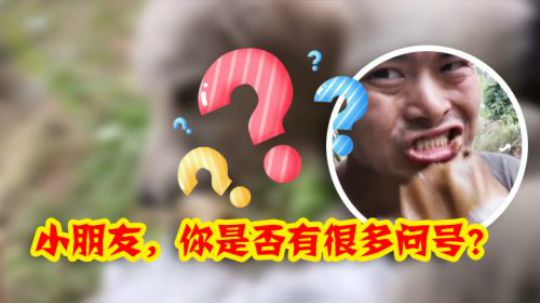 大根，还我猪耳朵！！！