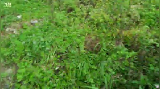 不花一分钱寻找一顿美食。 2020-03-27 10点场