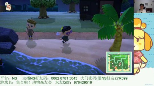 NS第一勤奋主播 夜月的动森时间 2020-03-23 23点场