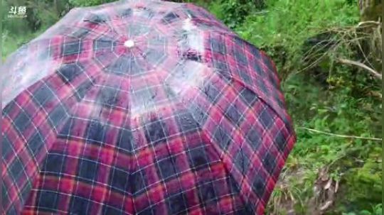 不花一分钱寻找一顿美食。 2020-03-27 12点场