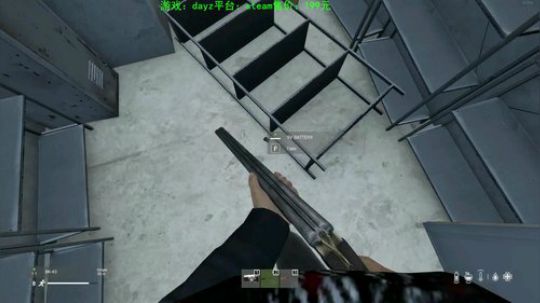 dayz(灾变后第五年） 2020-03-27 17点场