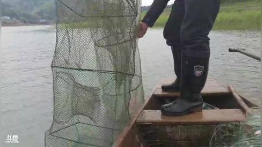 水库收地笼啦。 2020-03-28 10点场