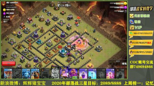 12本王车狗打13本