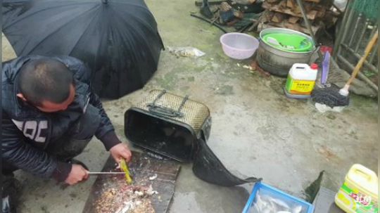 科头溜子发布了一个斗鱼视频2020-03-28