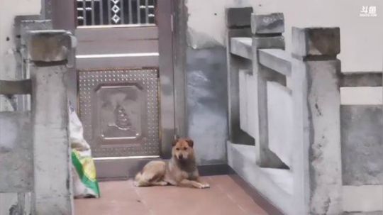 凑合