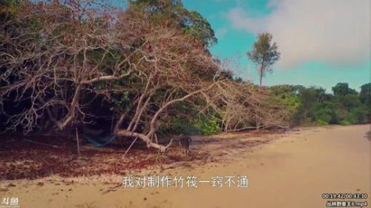 户外遛狗王飞哥发布了一个斗鱼视频2020-03-28