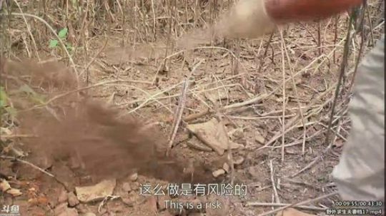 静思世语发布了一个斗鱼视频2020-03-29