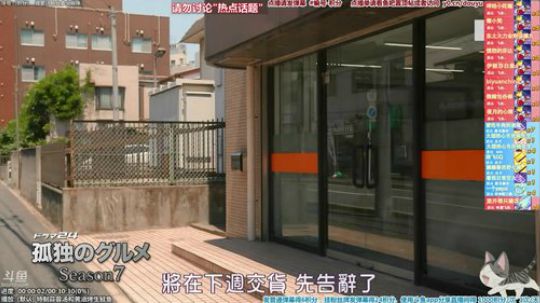 我在斗鱼看懒猫是只喵直播一起看