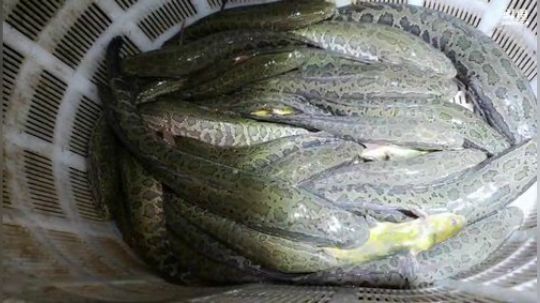 今天去怼坑 2020-03-29 22点场