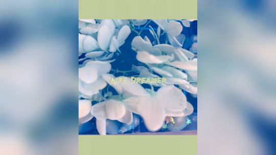 新的海洋风定制烟灰缸现以开启定制模式纯手工美哭了！