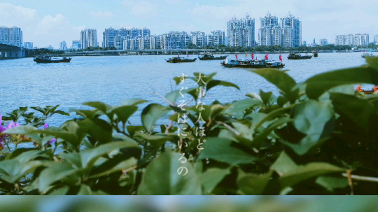 黎子回来了，有时间就会直播的还是老时间