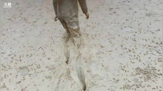 今天去怼坑 2020-03-30 13点场