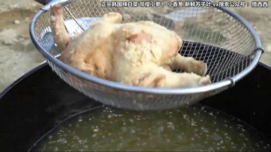 哆啦爱梦梦发布了一个斗鱼视频2020-03-31