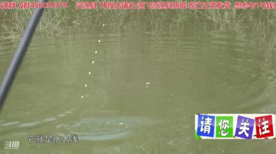 我在斗鱼看贱贱钓鱼直播乡野