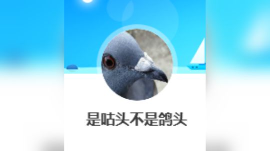 五捷定罪波五雾红球九头蛇