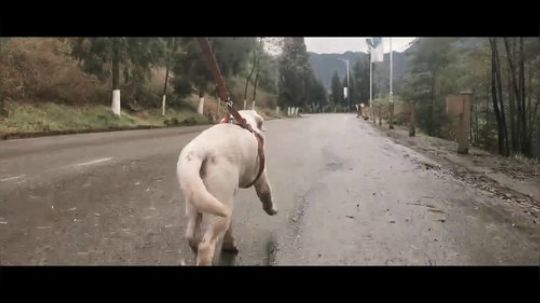 一念之间