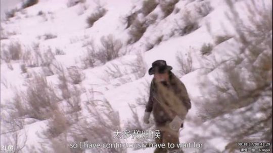 静思世语发布了一个斗鱼视频2020-04-01