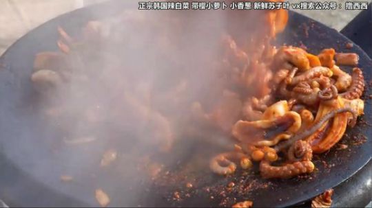 西北老狼哥哥发布了一个斗鱼视频2020-04-01