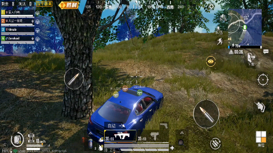 [吃鸡全白给]最后决战圈