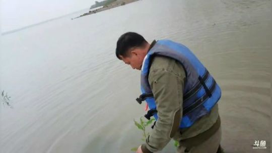 开船去兜一圈 2020-03-31 15点场