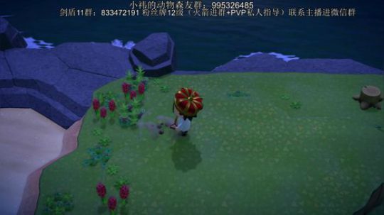 我鲨鱼王小祎又来操作了~ 2020-03-27 22点场