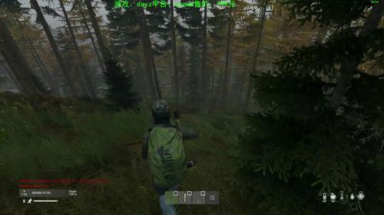 dayz(灾变后第五年） 2020-04-01 00点场