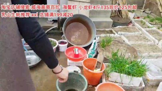 龙马精神丶老狼哥发布了一个斗鱼视频2020-04-02