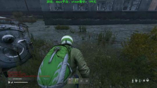 dayz(灾变后第五年） 2020-04-01 19点场