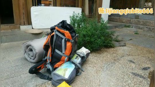 户外遛狗王飞哥发布了一个斗鱼视频2020-04-02