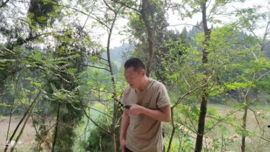 九途话事人争霸赛Day1 2020-03-24 14点场